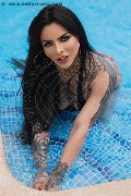 Foto Ts Clary Santos Annunci Trans Madrid 0034612216651 - 3