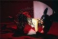 Foto Vanessa Hilton Annunci Trans Modena 3245846577 - 132