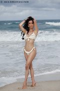 Foto Vanessa Hilton Annunci Transescort Modena 3245846577 - 108