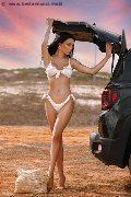 Foto Vanessa Hilton Annunci Transescort Modena 3245846577 - 112