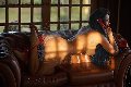 Foto Vanessa Vaz Annunci Transescort Torre Del Lago Puccini 3208776985 - 104