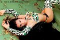 Foto Bella Solare Annunci Trans Giussano 3347416269 - 23