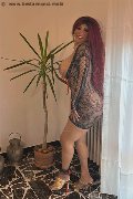 Foto Carolina Sexy Annunci Trans Siena 3486599498 - 10