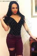 Foto Dior Annunci Transescort Genova 3472825420 - 591