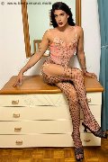 Foto Elisa Annunci Travescort Genova 3512604780 - 21