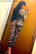 Foto Heron Annunci Transescort Prato 3933783206 - 2