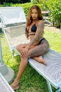 Foto Hillary Brasiliana Annunci Trans Alba Adriatica 3384136322 - 43