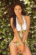 Foto Hot Elodie Annunci Girl Vercelli 3713942459 - 1