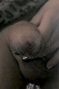 Foto Hot Monique Annunci Transescort Cassano Delle Murge 3201830286 - 35