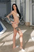 Foto Maria Annunci Girl Vibo Valentia 3295556638 - 8