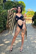 Foto Nick Miller Annunci Transescort Verona 3382945956 - 80