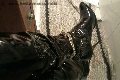 Foto Padrona Alessandra Annunci Mistresstrans Isernia 3715212112 - 8