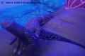 Casoria Trans Escort Jennifer Lopez 329 28 14 384 foto selfie 13