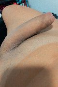 Brescia Trans Escort Milla Dotata 393 29 12 055 foto selfie 1