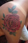 Torre Del Lago Puccini Trans Escort Pamela Sexy 389 11 65 704 foto selfie 15