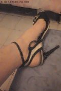 Alessandria Trans Escort Suzana Pantera 392 97 24 965 foto selfie 32