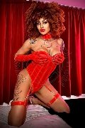 Foto Stella Annunci Transescort Milano 3295563971 - 11
