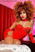 Foto Stella Annunci Transescort Milano 3295563971 - 10