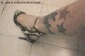 Foto Suzana Pantera Annunci Transescort Alessandria 3929724965 - 61
